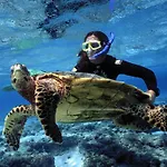 Pousada Pé na Areia Ubatuba